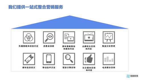 拾梦科技公司提供网站搭建 小程序开发,网络代运营服务